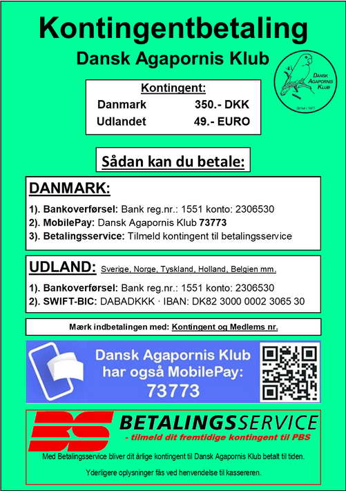 Kontingent DAK
