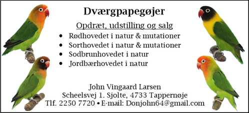 Opdræts annonce